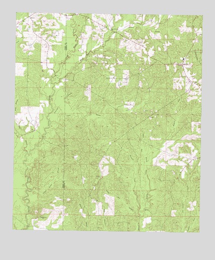 Brewer, MS USGS Topographic Map