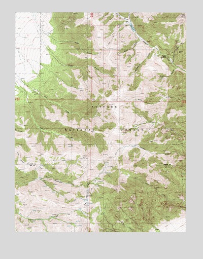 Brewer Canyon, NV USGS Topographic Map
