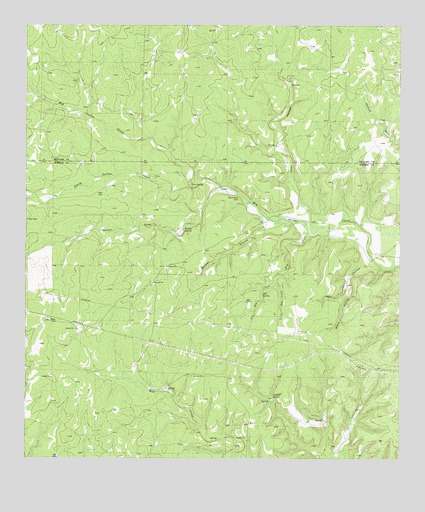 Brewer Hollow, TX USGS Topographic Map