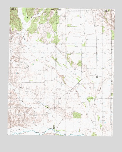 Brice, TX USGS Topographic Map