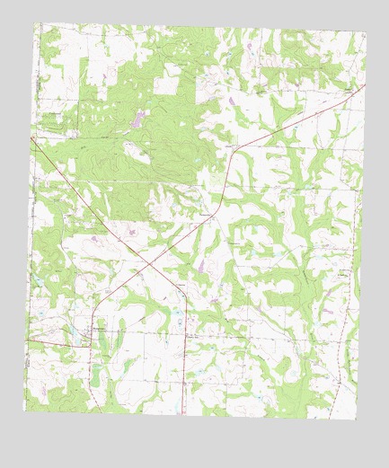 Bridgeboro, GA USGS Topographic Map