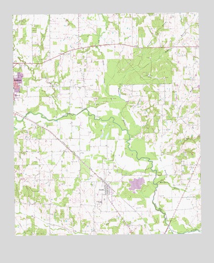 Bridgeport East, TX USGS Topographic Map