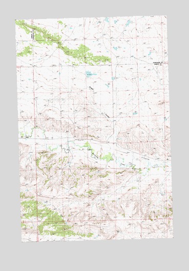 Briggs Coulee, MT USGS Topographic Map