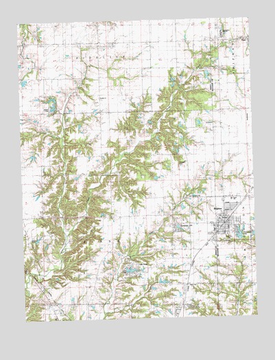 Brighton, IL USGS Topographic Map