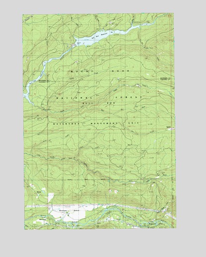 Brightwood, OR USGS Topographic Map
