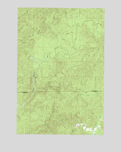 Aberdeen SE, WA USGS Topographic Map