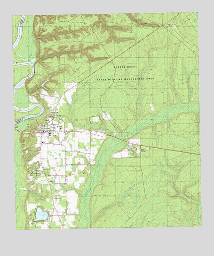 Bristol, FL USGS Topographic Map