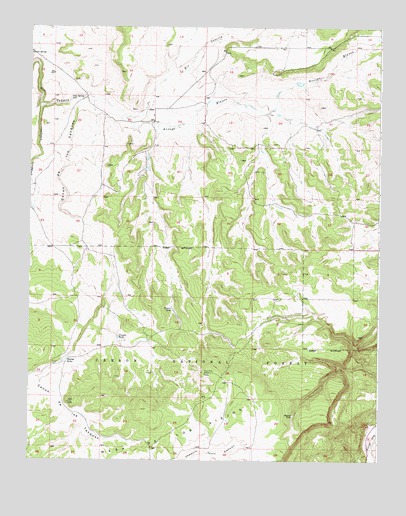Alire, NM USGS Topographic Map