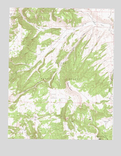 Broke Off Mountain, NM USGS Topographic Map