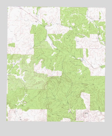 Brokeleg Mountain, TX USGS Topographic Map