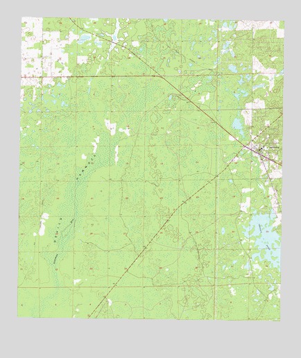 Bronson, FL USGS Topographic Map