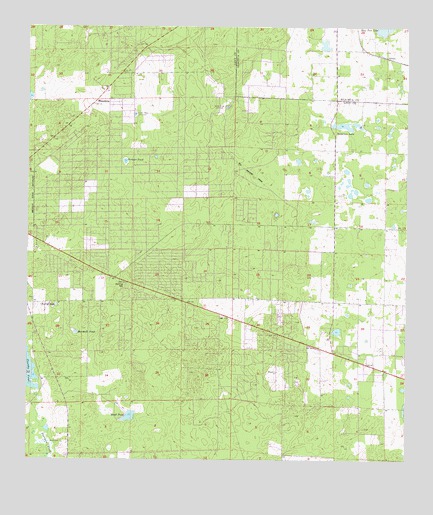 Bronson NE, FL USGS Topographic Map