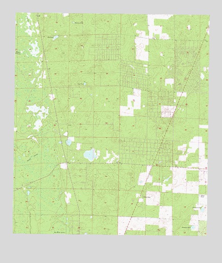 Bronson SE, FL USGS Topographic Map