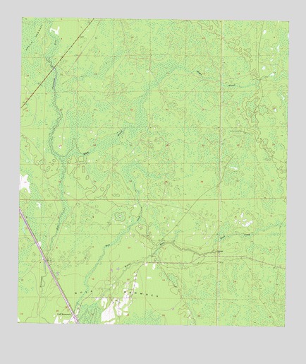 Bronson SW, FL USGS Topographic Map