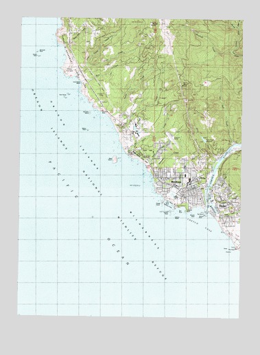 Brookings, OR USGS Topographic Map