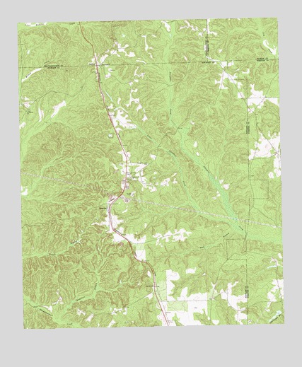 Brooklyn, GA USGS Topographic Map