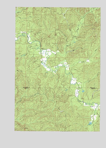 Brooklyn, WA USGS Topographic Map