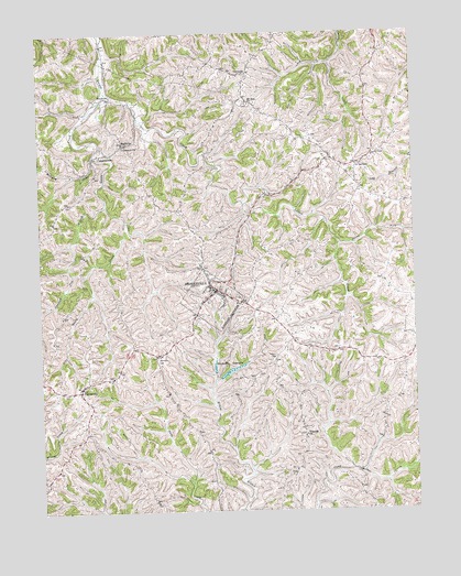 Brooksville, KY USGS Topographic Map