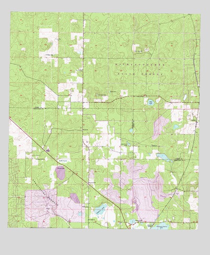 Brooksville NW, FL USGS Topographic Map