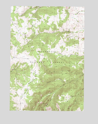 Broomtail Ridge, MT USGS Topographic Map