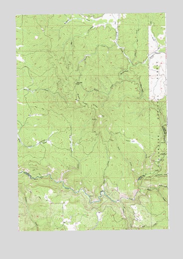 Brown Creek Ridge, ID USGS Topographic Map