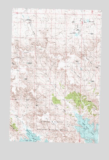 Brown Pass, MT USGS Topographic Map