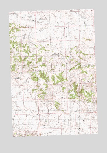 Brown Spring, MT USGS Topographic Map