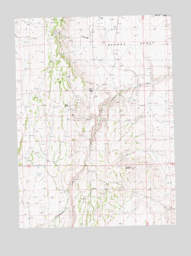 Browns Bench Ranch, NV USGS Topographic Map
