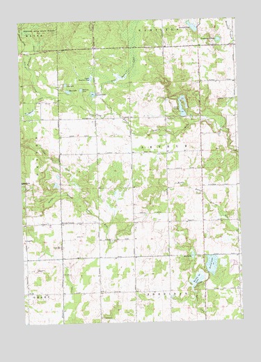 Browns Corners, MI USGS Topographic Map