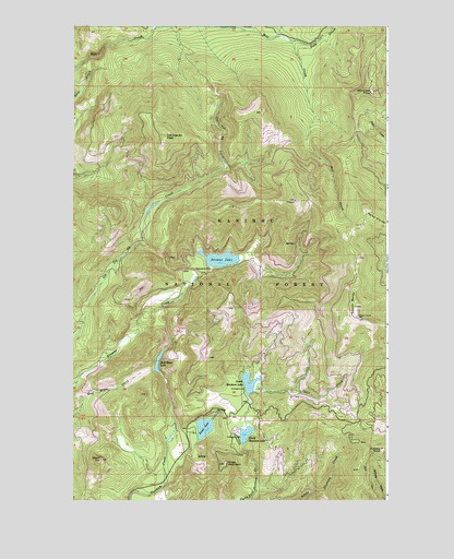 Browns Lake, WA USGS Topographic Map