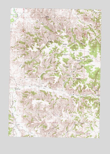 Browns Mountain, MT USGS Topographic Map