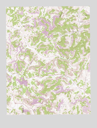 Brownton, WV USGS Topographic Map