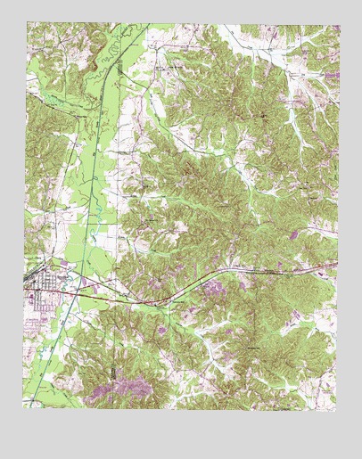Bruceton, TN USGS Topographic Map