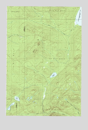 Allagash Pond, ME USGS Topographic Map