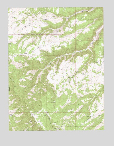 Bruin Point, UT USGS Topographic Map