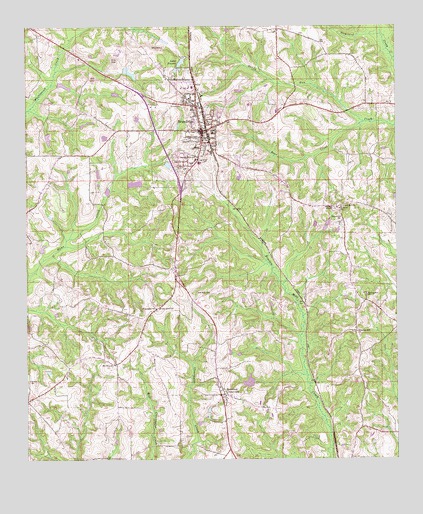 Brundidge, AL USGS Topographic Map