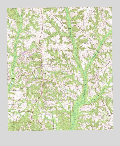 Brundidge NW, AL USGS Topographic Map