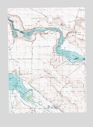 Bruneau, ID USGS Topographic Map