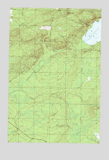 Bruneau Creek, MI USGS Topographic Map