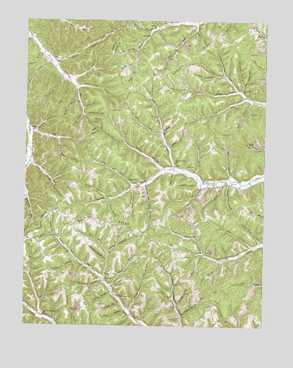 Brushart, KY USGS Topographic Map