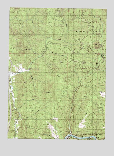 Brushy Bald Mountain, OR USGS Topographic Map