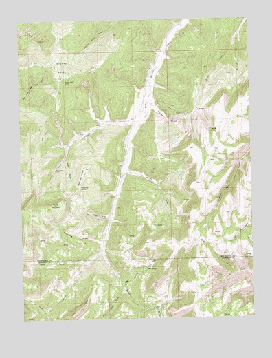 Brushy Point, CO USGS Topographic Map