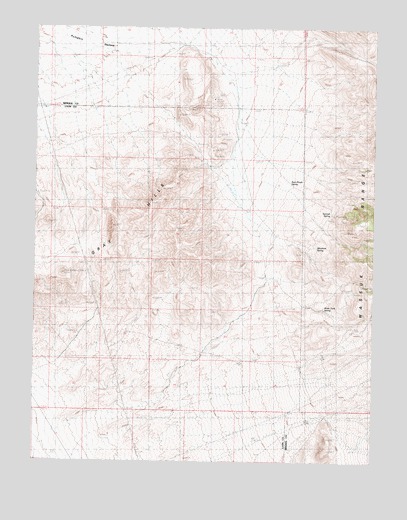 Buck Brush Spring, NV USGS Topographic Map