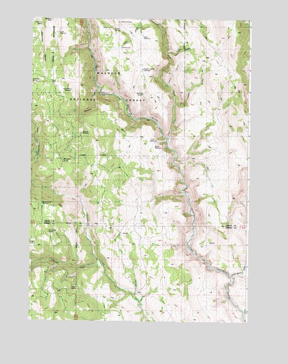 Buck Trough Spring, OR USGS Topographic Map