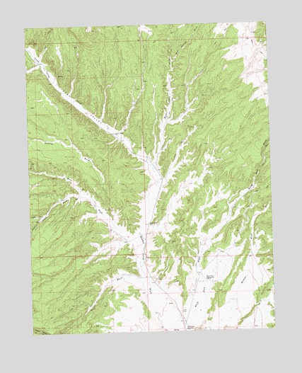 Buck Wash Well, NV USGS Topographic Map