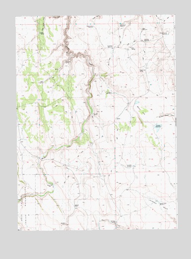 Buckhorn, ID USGS Topographic Map