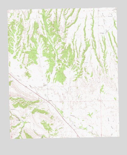 Buckhorn, NM USGS Topographic Map