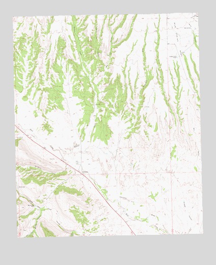 Buckhorn, NM USGS Topographic Map