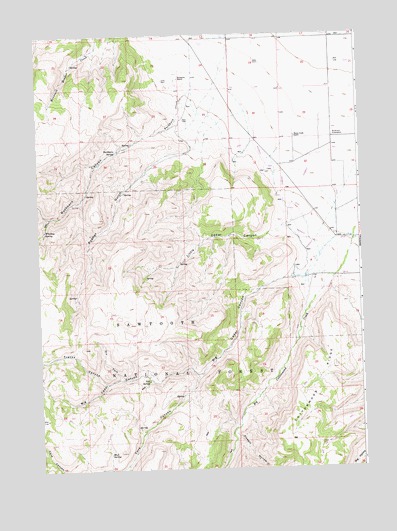 Buckhorn Canyon, ID USGS Topographic Map