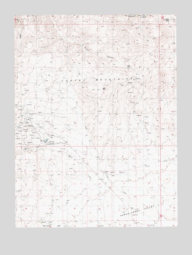 Buckhorn Mine, NV USGS Topographic Map